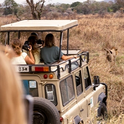 Fly In Mikumi National Park Day Safari from Zanzibar